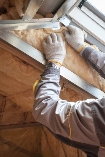 Best Specialized Insulation Services in Fairborn, OH
